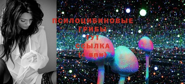 ECSTASY Михайлов