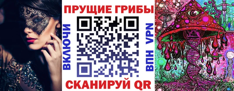 Галлюциногенные грибы прущие грибы  сколько стоит  Сясьстрой 